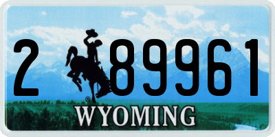 WY license plate 289961