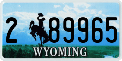 WY license plate 289965