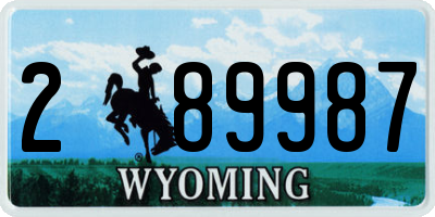 WY license plate 289987