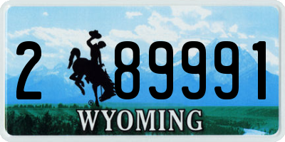 WY license plate 289991