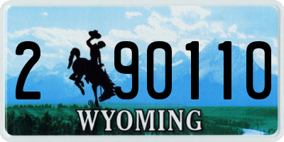WY license plate 290110