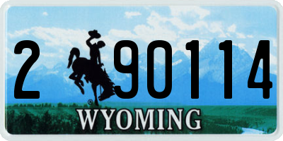 WY license plate 290114