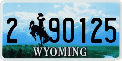 WY license plate 290125