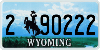 WY license plate 290222