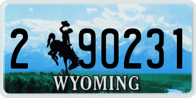 WY license plate 290231