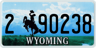 WY license plate 290238