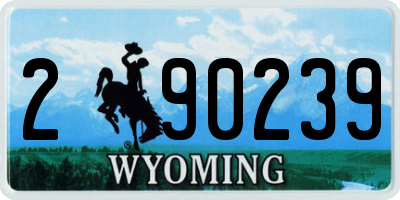 WY license plate 290239