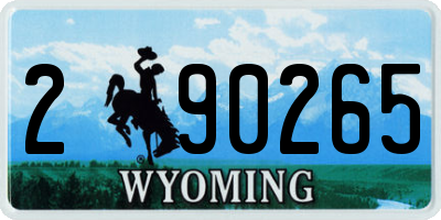 WY license plate 290265