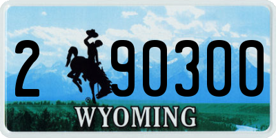 WY license plate 290300