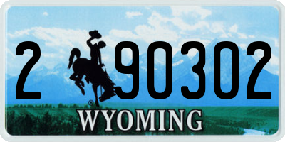 WY license plate 290302