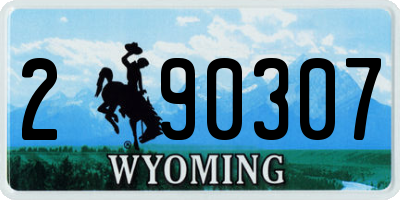 WY license plate 290307