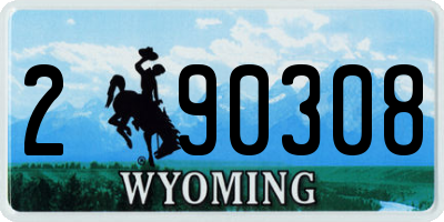 WY license plate 290308