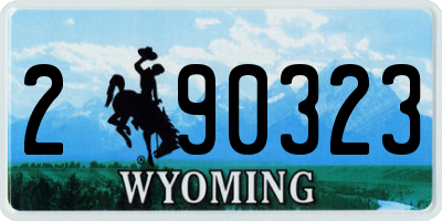 WY license plate 290323