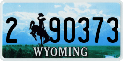 WY license plate 290373