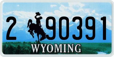 WY license plate 290391