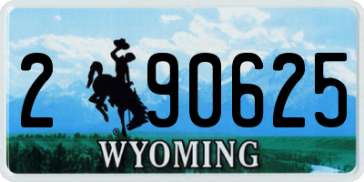 WY license plate 290625