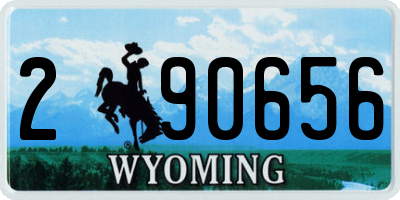 WY license plate 290656