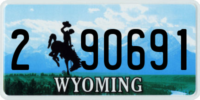WY license plate 290691