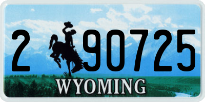 WY license plate 290725