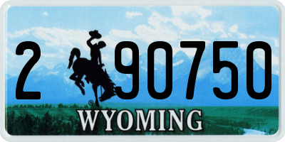 WY license plate 290750