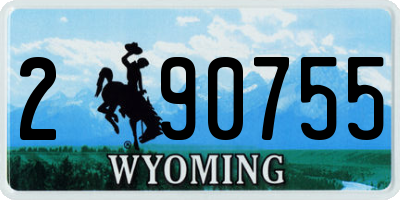 WY license plate 290755