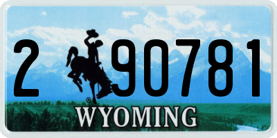 WY license plate 290781