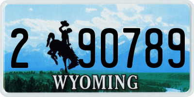WY license plate 290789