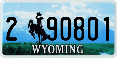 WY license plate 290801
