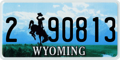 WY license plate 290813