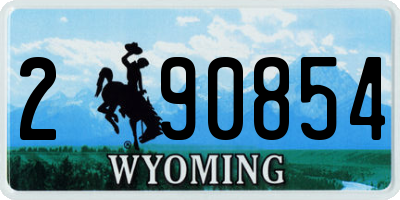 WY license plate 290854