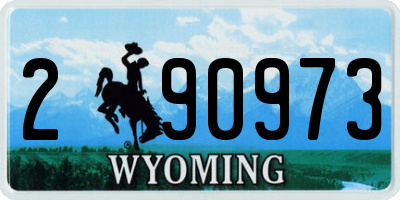 WY license plate 290973