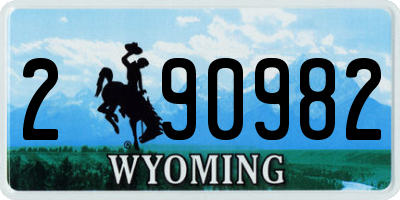 WY license plate 290982