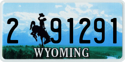 WY license plate 291291