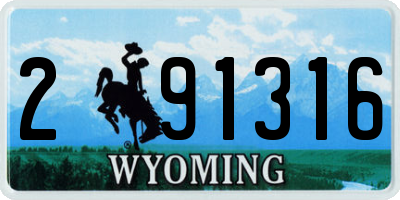 WY license plate 291316