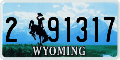 WY license plate 291317