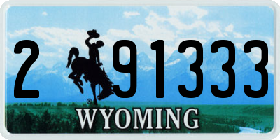 WY license plate 291333