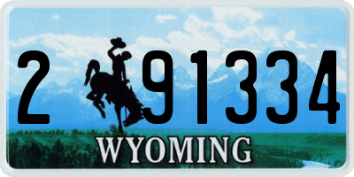 WY license plate 291334