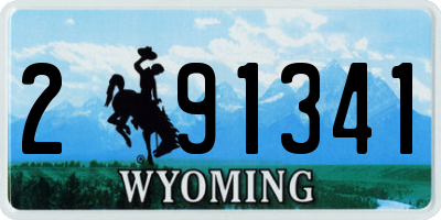 WY license plate 291341