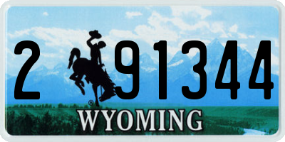 WY license plate 291344