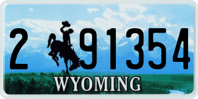 WY license plate 291354