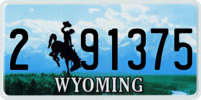 WY license plate 291375