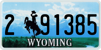 WY license plate 291385