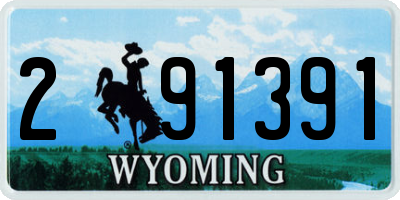 WY license plate 291391