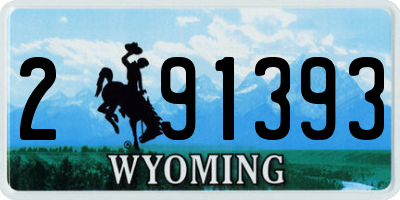 WY license plate 291393