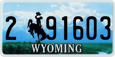 WY license plate 291603