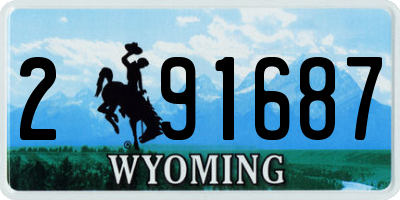 WY license plate 291687