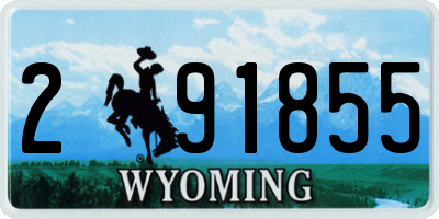 WY license plate 291855