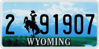 WY license plate 291907