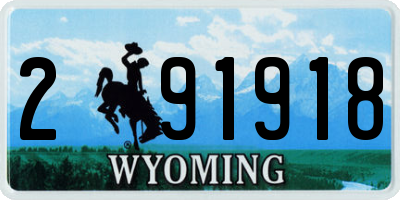 WY license plate 291918