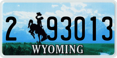 WY license plate 293013